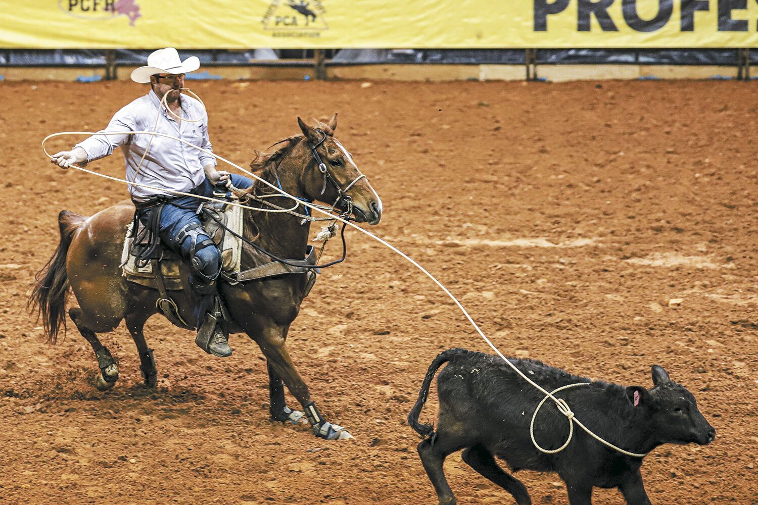 Perk 'cowboy ropes for a title